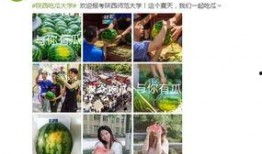 高校免费吃瓜网站,揭秘校园生活趣味瞬间