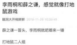 小琪的吃瓜日记免费阅读,揭秘娱乐圈幕后故事